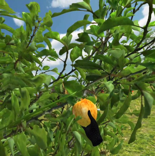 Fruit Picker VR Game for Oculus Quest